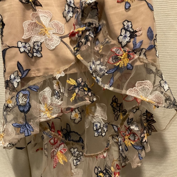 A.B.S Collection Pale Blush Floral Embroidered Midi Mesh Dress - Picture 3 of 6